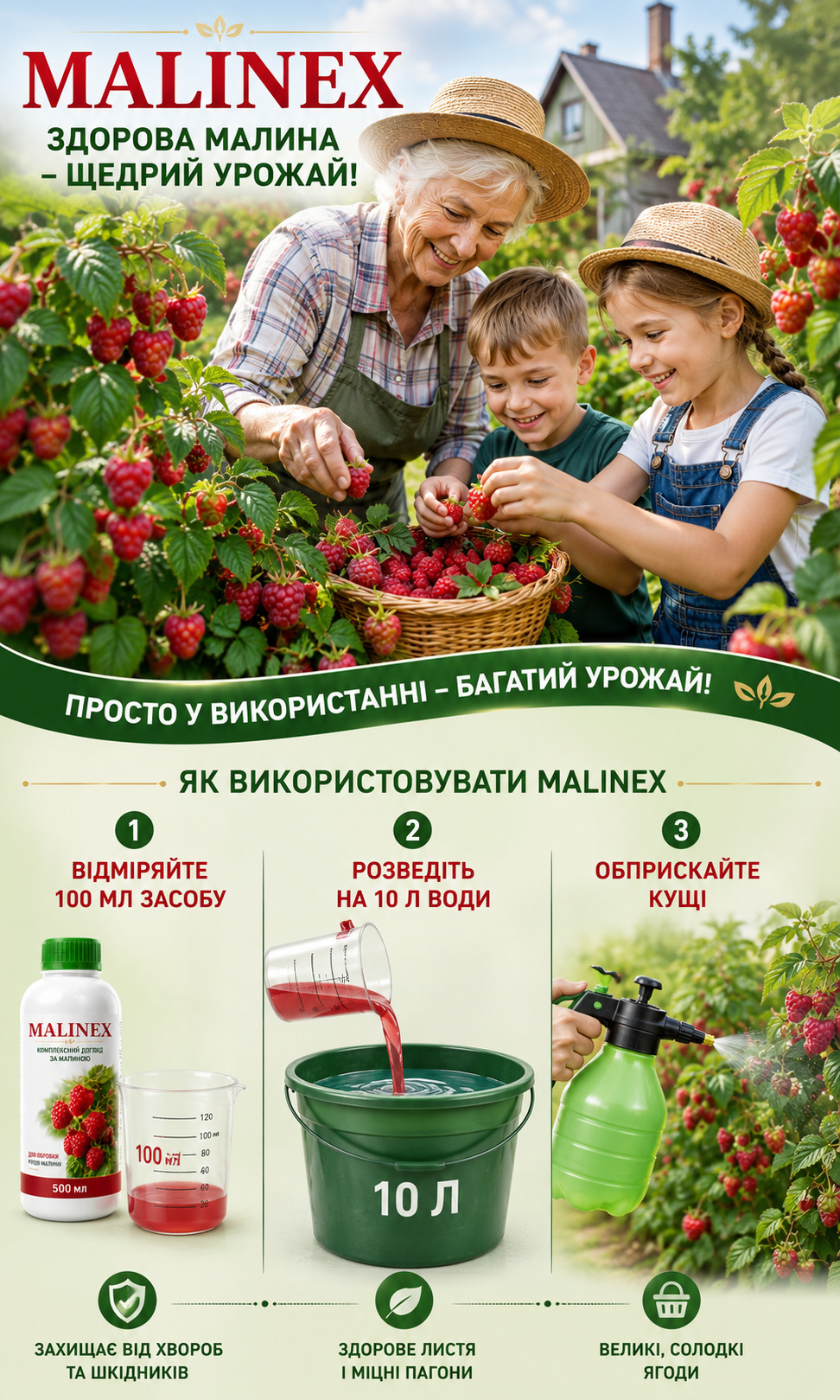 Стійкість сорту