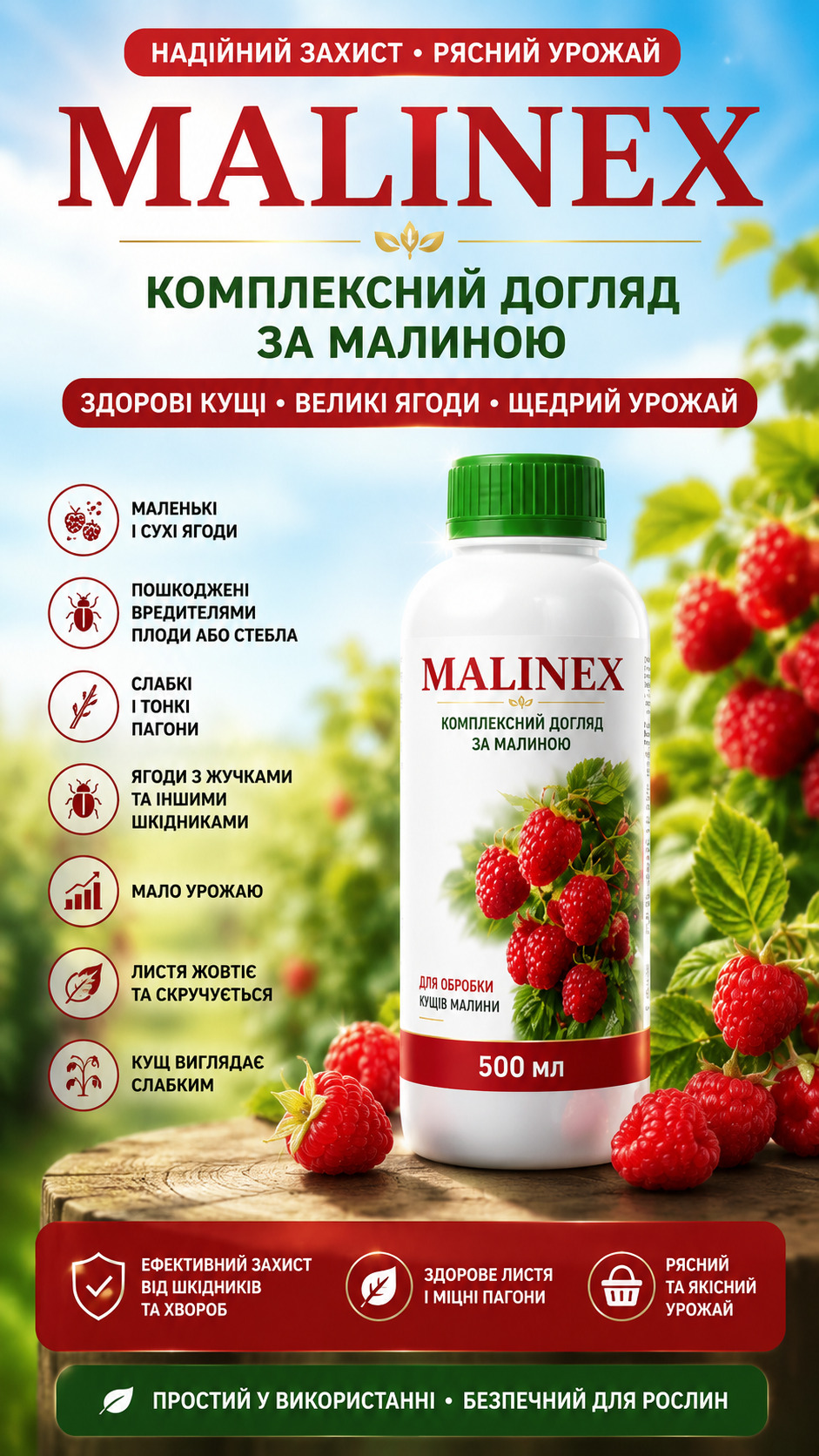 Абрикос Медовий Гігант